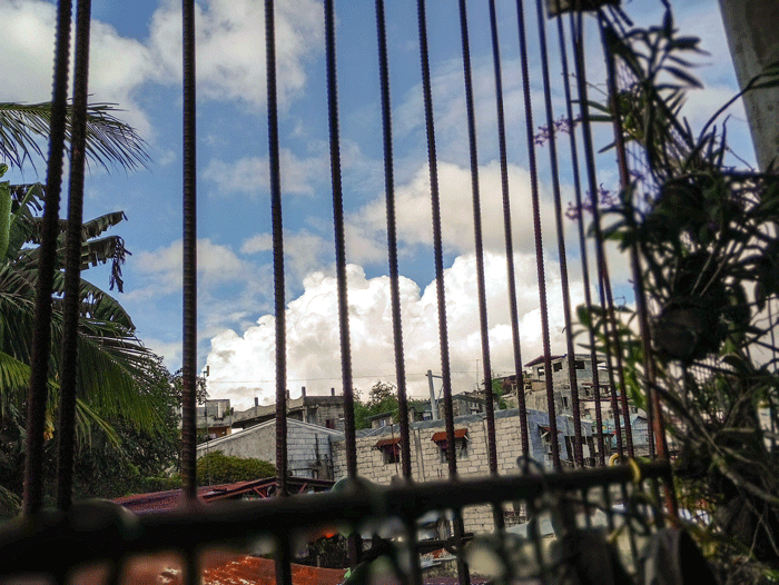 b0359548_13190095.gif