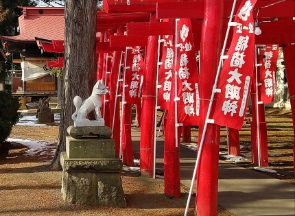 桝形稲荷神社　2019年♪_c0151053_13460057.jpg