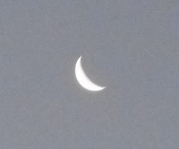 2019年の「あけおめ」_f0197754_18200673.jpg