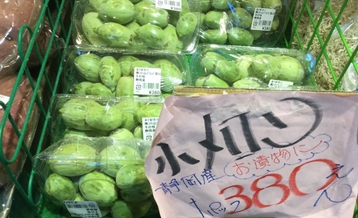 a0053063_08100663.jpeg