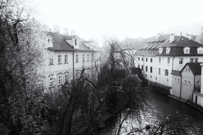 d0349265_09050433.jpg