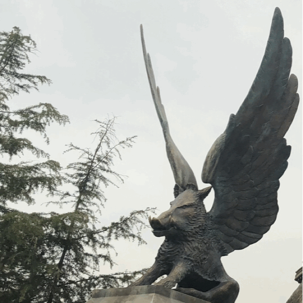 b0325867_22562822.gif