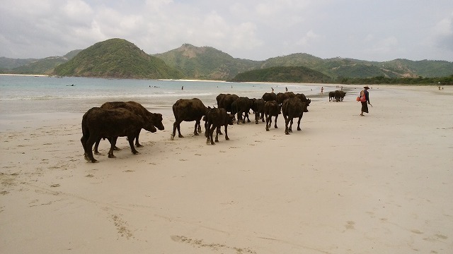 d0083068_11213810.jpg