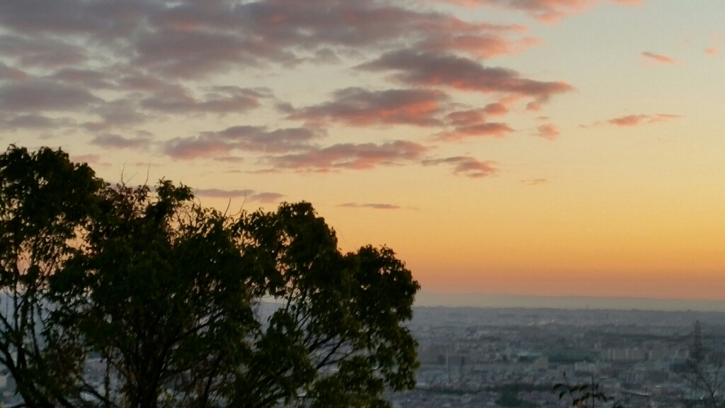 a0066377_20100002.jpg