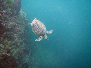 f0144385_19460243.jpg