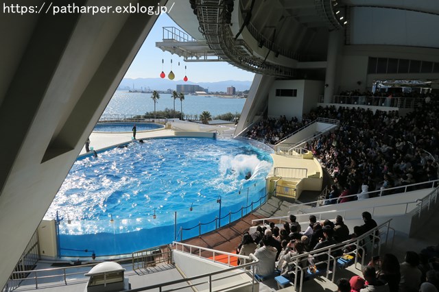 ２０１８年１２月　マリンワールド海の中道　その１_a0052986_15381391.jpg