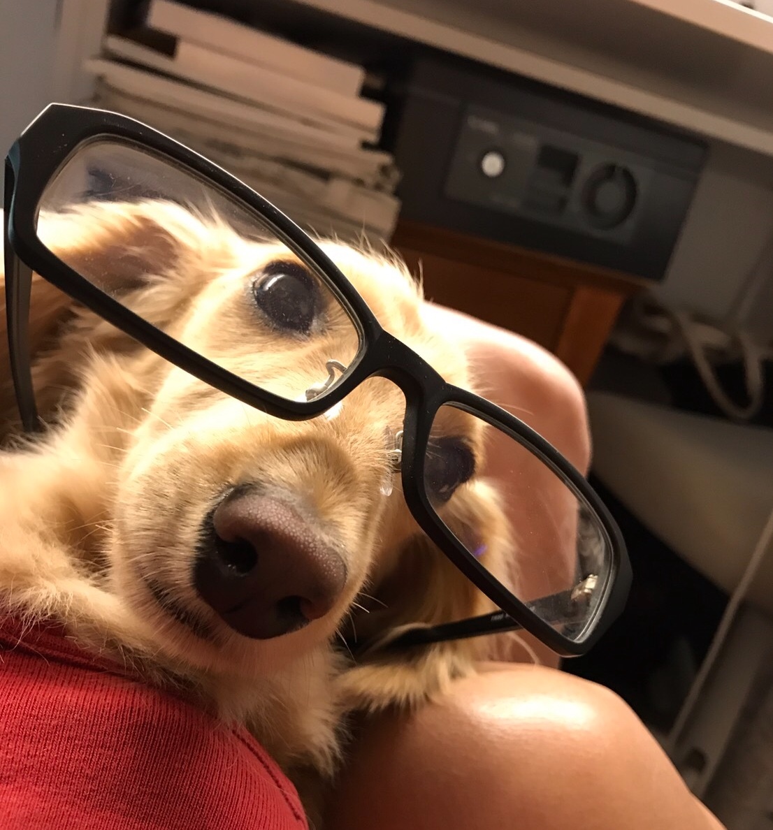 f0151886_18410263.jpeg
