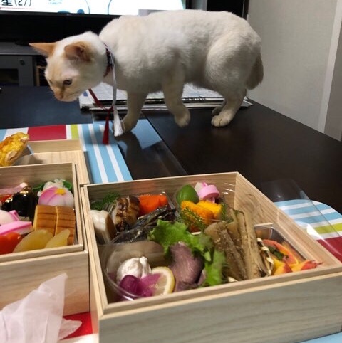 b0035391_23363511.jpeg