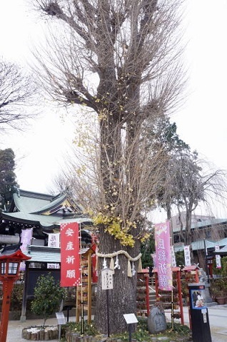 c0122791_23030821.jpg