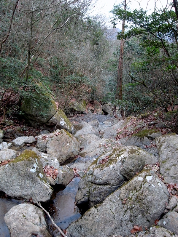 f0325295_11444919.jpg