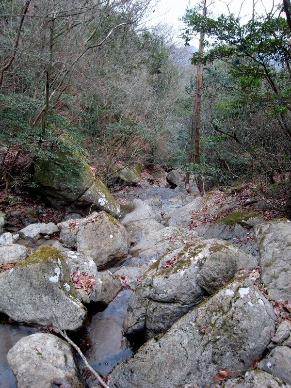 初登山はやっぱり熊山！_f0325295_11444919.jpg