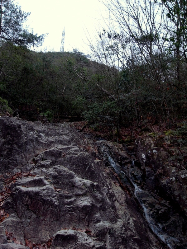 f0325295_11445667.jpg