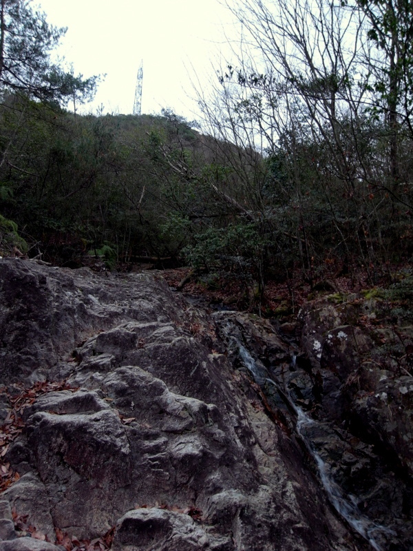 初登山はやっぱり熊山！_f0325295_11445667.jpg