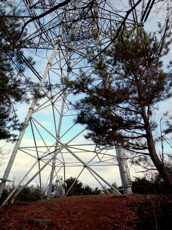 初登山はやっぱり熊山！_f0325295_11463615.jpg