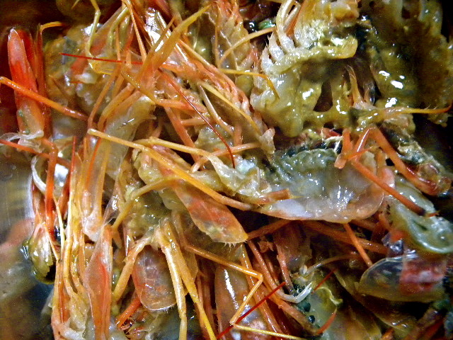 a0199297_15104889.jpg