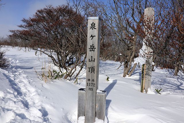 e0137200_1733344.jpg