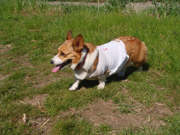 b0122401_20582883.jpeg