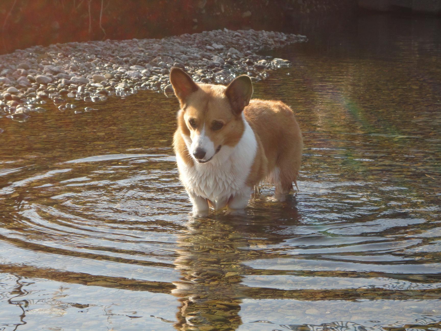b0122401_20592036.jpeg