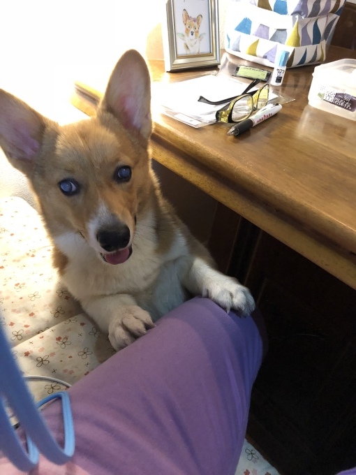 b0122401_21252503.jpeg