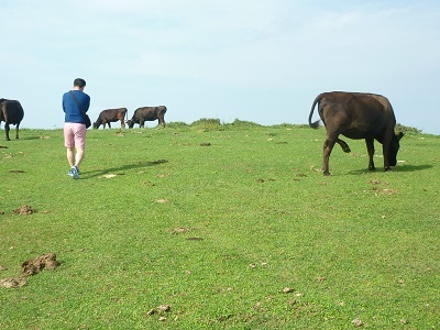e0366602_07530858.jpg