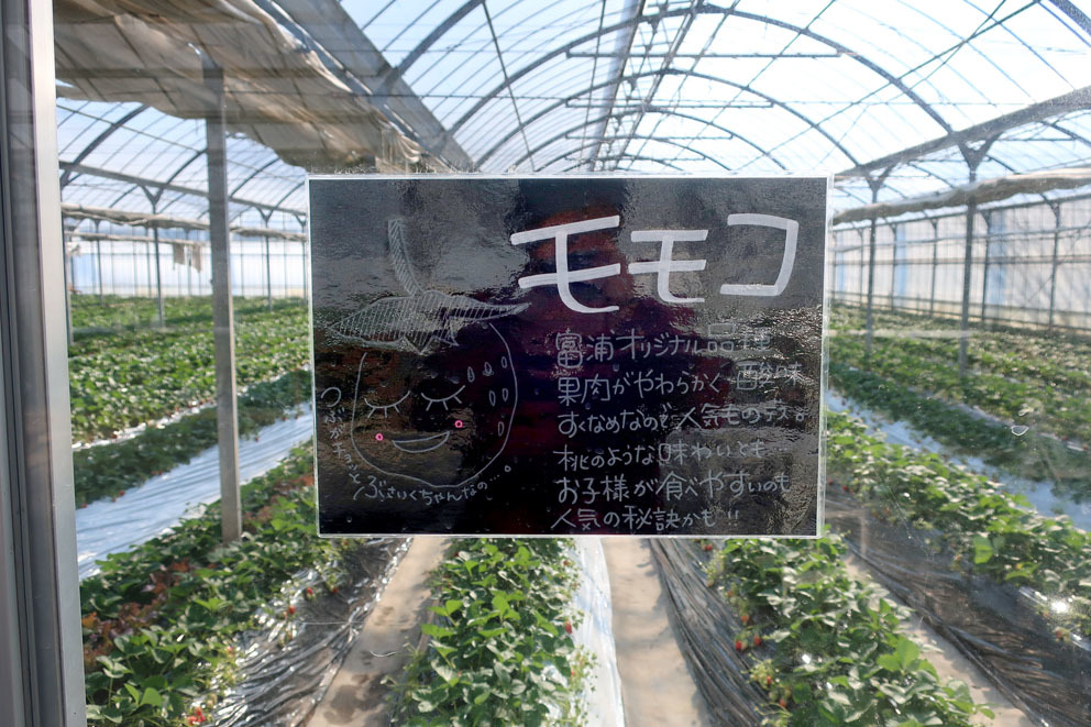 f0195002_18545599.jpg