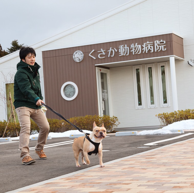 宮城県富谷市明石台 くさか動物病院ブログ