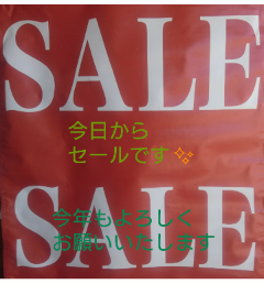 新春セール_f0218407_14343187.png