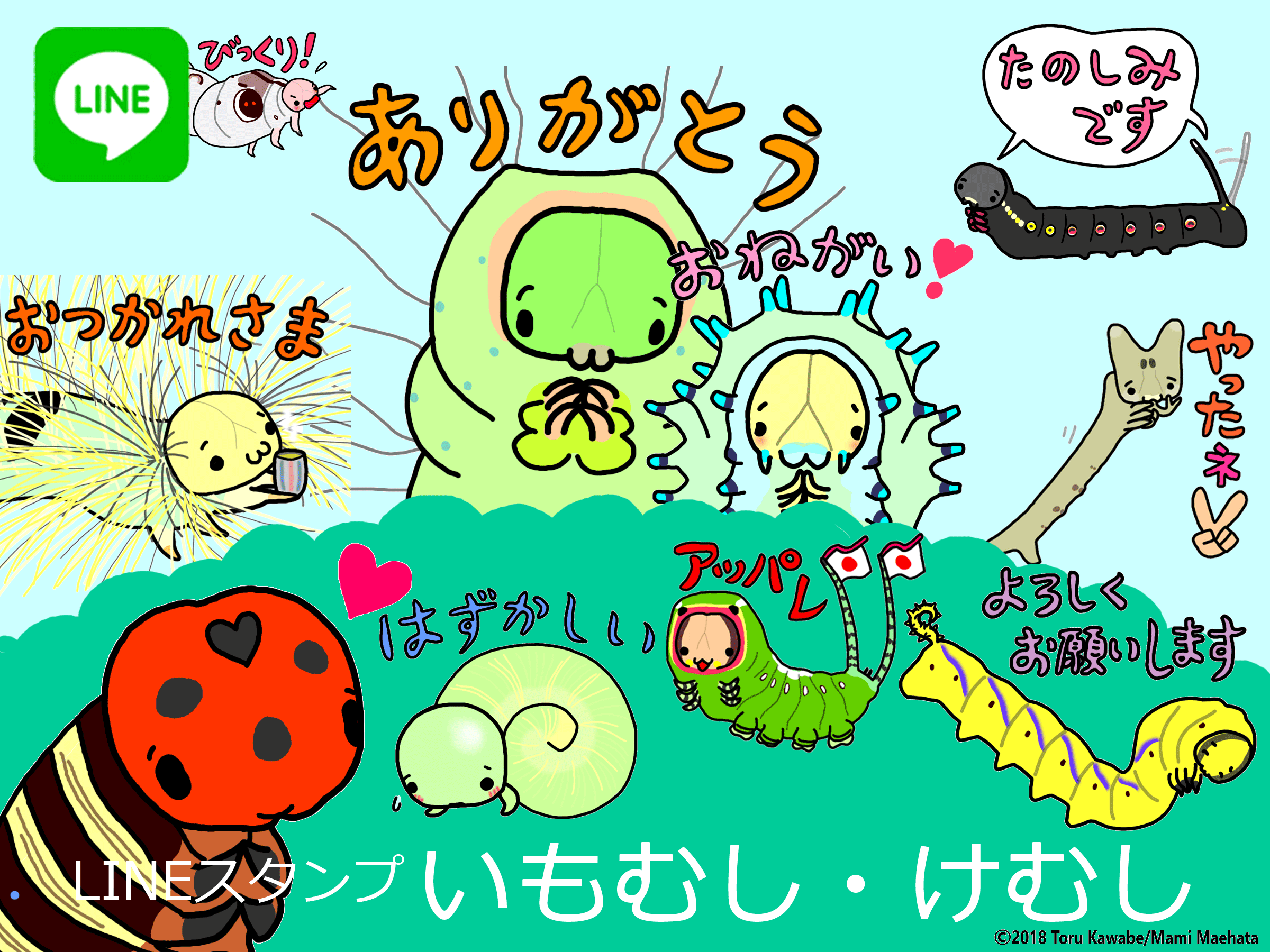 昆虫ブログ むし探検広場 昆虫ブログ むし探検広場