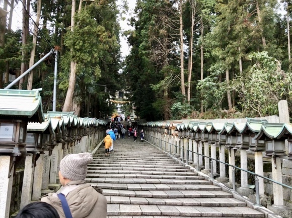 c0388708_16153099.jpeg