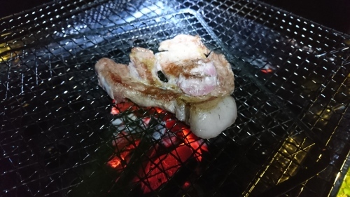 秋の阿蘇キャンプ&ツーリング_c0070609_02300185.jpg