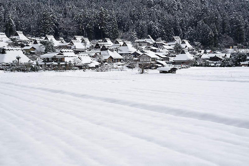 大晦日の雪景色@美山茅葺きの里 其の一_f0032011_23033910.jpg