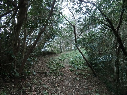 f0371014_08010557.jpg