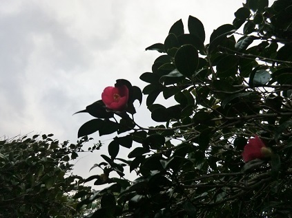 f0371014_08012109.jpg