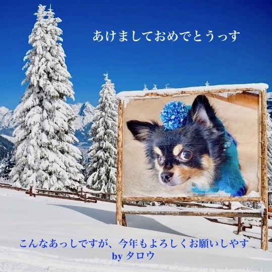 New Year\'s Resolution 2019_f0197215_16100448.jpeg