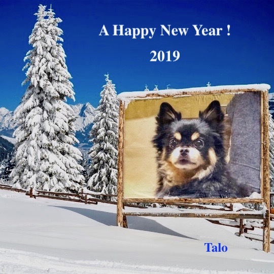 New Year\'s Resolution 2019_f0197215_16100465.jpeg