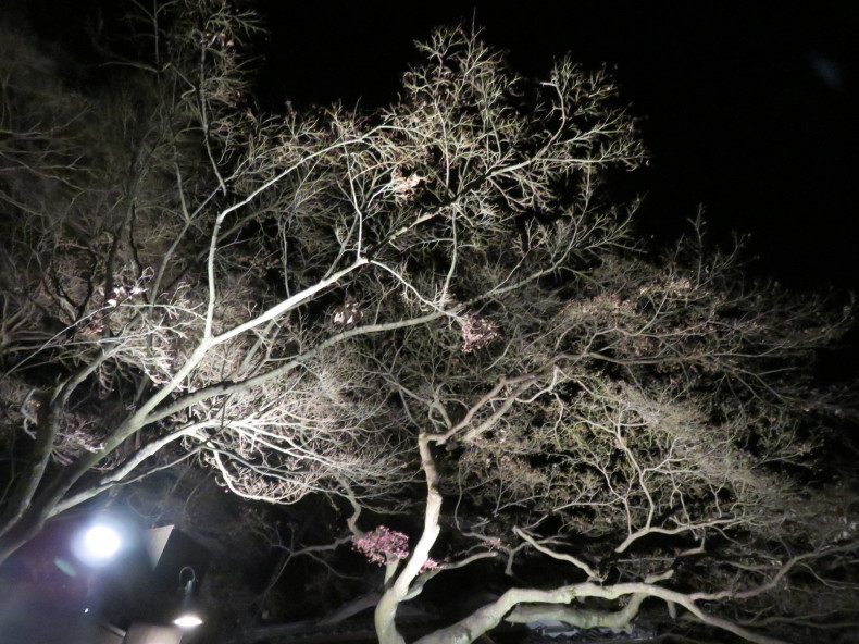 b0344816_18134885.jpeg