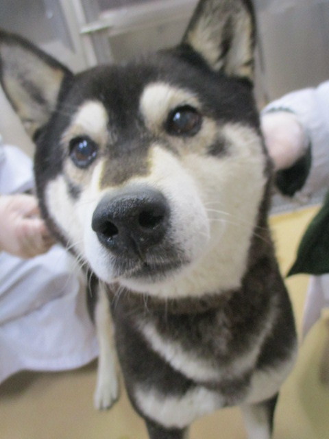 f0078320_20460830.jpg