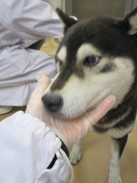 f0078320_20462546.jpg