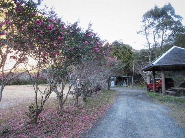 南房総市　花嫁街道をたどって鳥場山　　　　　Mount Karasuba in Minamibōsō, Chiba_f0308721_08564506.jpg