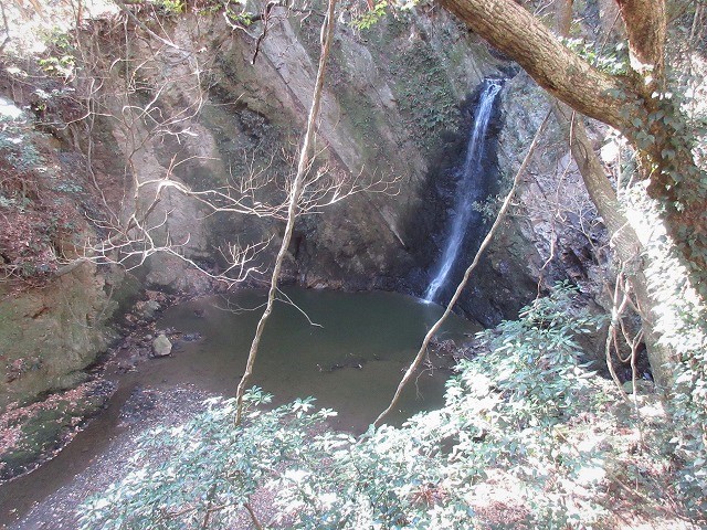 南房総市　花嫁街道をたどって鳥場山　　　　　Mount Karasuba in Minamibōsō, Chiba_f0308721_09023453.jpg