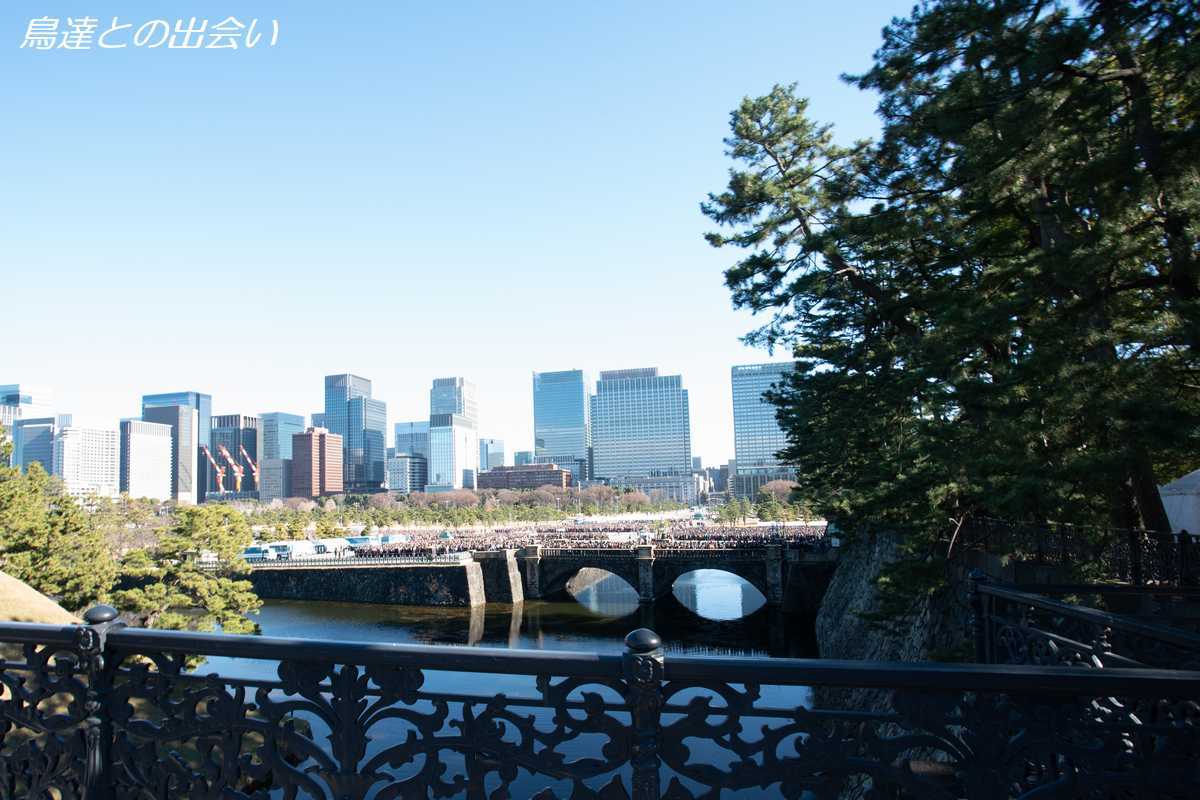 e0139623_17134805.jpg