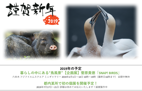 Field Photo Gallery Blog 日記版