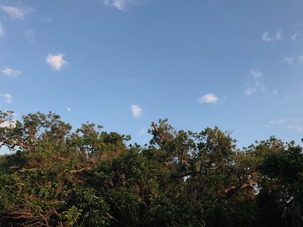六甲山と瀬織津姫 200 久高島の御嶽廻り_a0300530_07392653.jpg