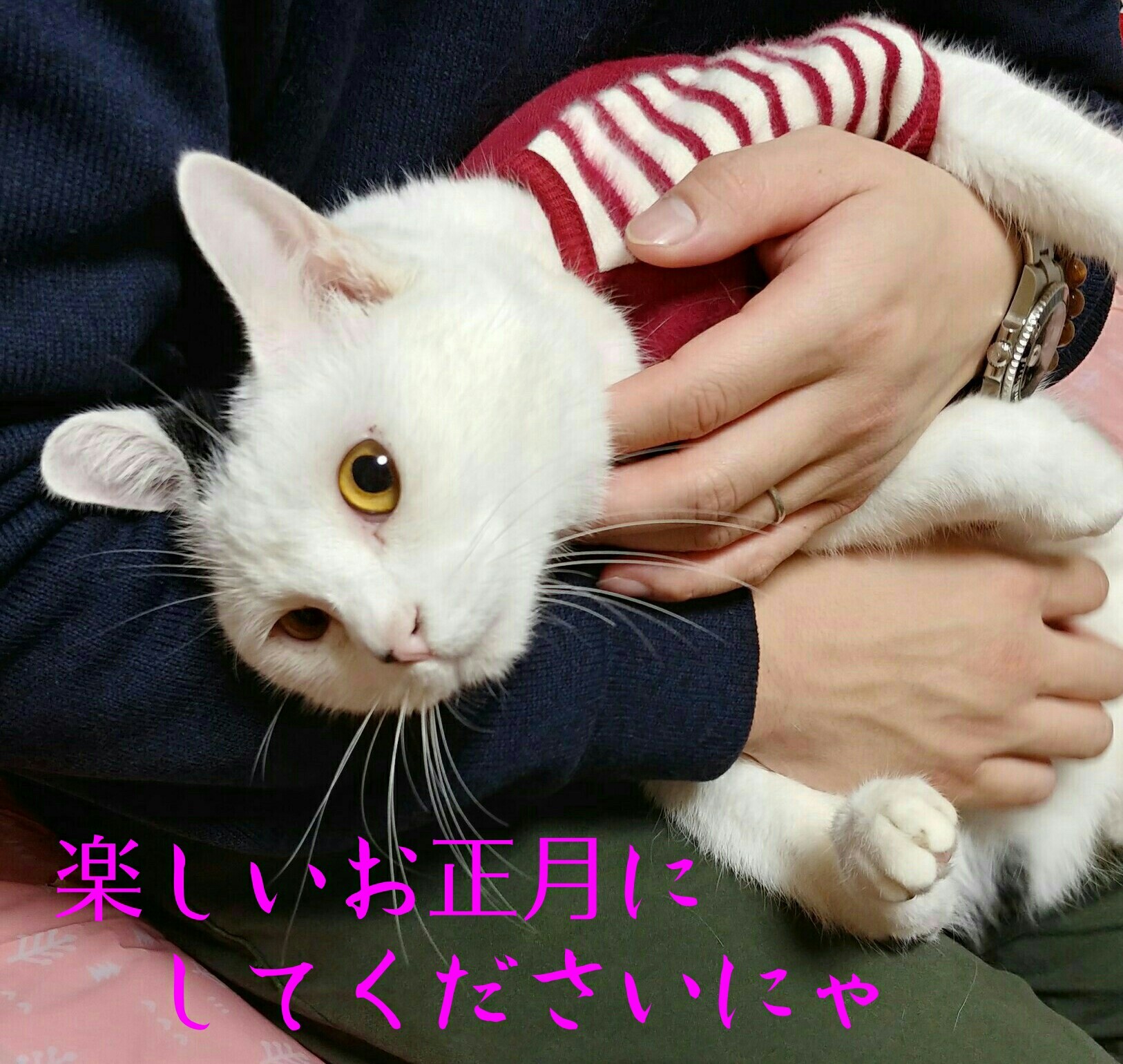 e0338831_00585513.jpg