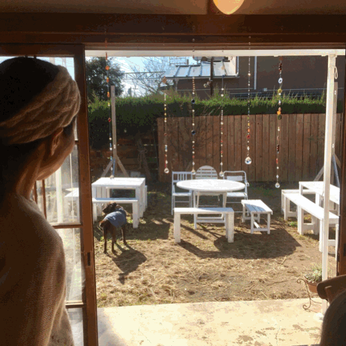 d0056232_17475355.gif