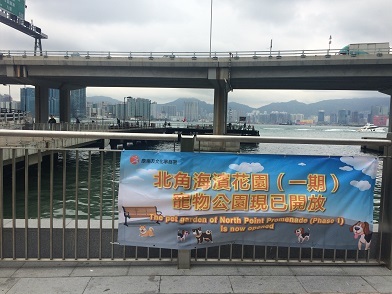 f0371533_17515995.jpg