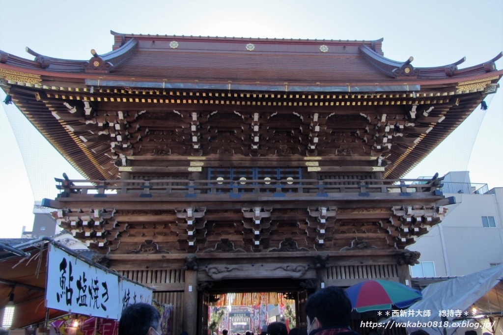 関東厄除け三大師の西新井大師に初詣 自然のキャンバス