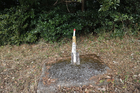 e0272335_1758049.jpg