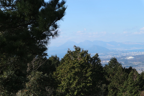 e0272335_1894972.jpg