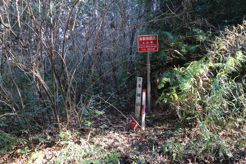 e0272335_19245176.jpg